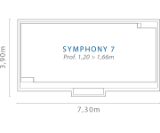 Symphony 7